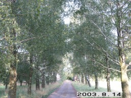 Stasynes_a_keda_stasyn_042-f7083d568873652e05d2900088c84783.JPG