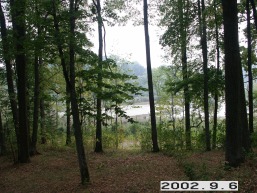 Stelmuzes_a_zara_stel_003-b2d4a8b2088f106ebd2847ed7c409015.jpg