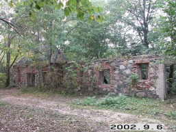 Stelmuzes_a_zara_stel_011-735658e0d7ae0d65a6d65b45cea8ef2d.jpg