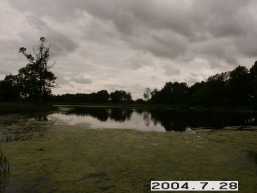 Sugaudziu_a_maze_suga_045-ae6b60852b3ea0edfc9aa228cd157685.JPG