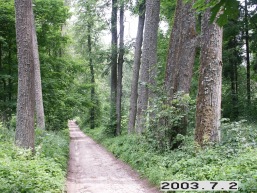 Sumsko_a_viln_sumsk_015-8f63c003b3ae315c5b7971955f4ea57f.JPG