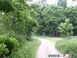 Sumsko_a_viln_sumsk_050-62060b966073ea30e4af746ddc363d12.JPG