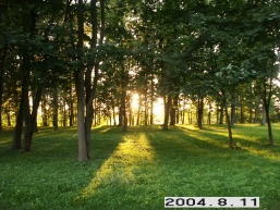 Sveksnos_a_silu_svek_063-fbe69e6173b4d4e328423660e7877969.JPG