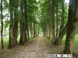 Sveksnos_a_silu_svek_085-751c7da8b68c61aa92011dd077e4896d.JPG