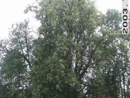 Sventos_a_sven_svent_053-94f4ac1bb4105b12d2920ed9884e732f.jpg
