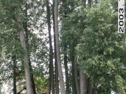 Sventos_a_sven_svent_054-7c57a38426ab0a78e264c513c4d20f97.jpg