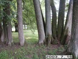 Sventos_a_sven_svent_057-03920e84d51494e67c1e18b30049d065.JPG