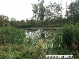 Svirnu-I_a_anyk_svir_006-22ee150c2e75a71841cc690798be24cb.jpg