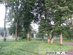 Tabariskiu_a_salc_tabaris_013-2e4620c970bae7c2f5030e735040ecbe.JPG
