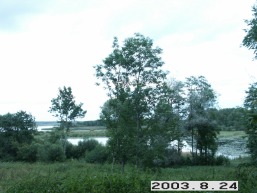Tarnavos_a_roki_tarnav_035-773ca8d390e38af4ec49bacbb0f52c88.JPG