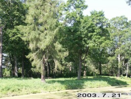 Taujenu_a_ukme_taujen_032-b449022229c4a1b8e380e4b52fd568e7.JPG