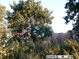 Tendziogalos_a_rase_tendz_018-2b78fad06a28bfffa26c47f6b79bf380.JPG