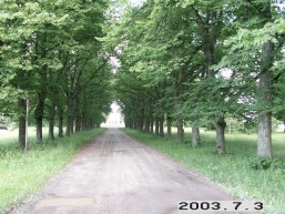 Traku-Vokes_a_viln_trakvok_025-887ba1ced7e84622788fb78dcaf9a069.JPG