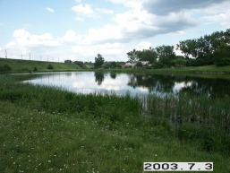 Traku-Vokes_a_viln_trakvok_055-ddbbf2d31cd446aa5dc25ecbda5bd3b4.JPG