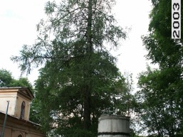 Tuskulenu_a_viln_tuskul_076-29f92649ca63a2a95c50484630f13f4c.jpg