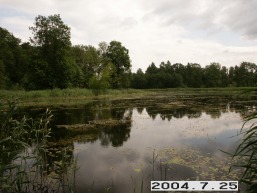 Tytuveneliu_a_kelm_tytu_026-c8b9f864986a8ea70234b3b7151d2d35.JPG