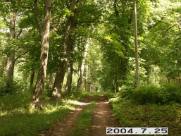 Tytuveneliu_a_kelm_tytu_035-1b9f5c605f05bb3e8231e3340d31528c.JPG