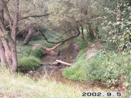 Utenos_a_uten_uten_006-9113eb844ef92074c25b9e917fe425c9.jpg