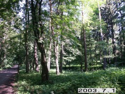 Uzutrakio_a_traku_uzutrak_004-6e4da330a4d3944997f2d6665092e48e.JPG