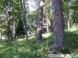 Uzutrakio_a_traku_uzutrak_009-fef941c6c7f8776d21f5dc37a4edb38f.JPG
