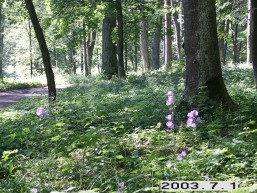 Uzutrakio_a_traku_uzutrak_012-0a46f0997a6591485ca89f536124f22d.JPG