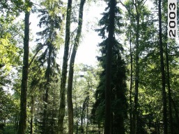 Uzutrakio_a_traku_uzutrak_013-b412f535e8fe4d780800f2a1d2068371.JPG