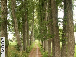 Uzvencio_a_kelm_uzve_073-b6e60e3f028d019b5c0915e86d161abd.JPG