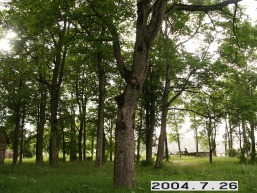 Vaiguvos_a_kelm_vaig_011-d0eb539a603035e1a32df6e81907d3d4.JPG