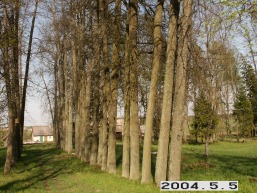 Varputenu_a_siau_varp_062-17ebda4f57edca41ead6f33dfa08a950.JPG