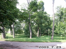Vepriu_a_ukme_vepr_052-600eeadb2ce20e6d912191c6e09d4ef2.JPG