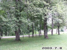 Veriskiu-Verusavos_a_viln_verisk_079-98f3c51e5d65c0992ea7bd27227cad92.JPG