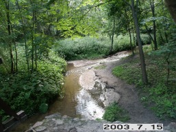 Verkiu_a_viln_verk_003-20c5ba36c7fe663d283cdc977f53b248.JPG