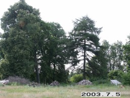 Versekos_a_salc_versek_081-fd3f5354462d8b16e17e55b0a8f00ed7.JPG