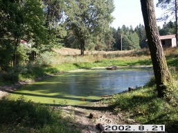 Vidiskiu_a_igna_vidis_008-43717158019b3d0a085f27f3cb485779.jpg