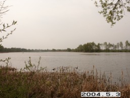 Vileisiu_a_pakr_vile_071-2add673968b174d63f06e43511d899b8.JPG