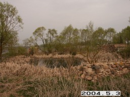 Vileisiu_a_pakr_vile_075-f84362bf021b8ede2149563ef5a8f76e.JPG