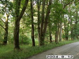 Vilkeno_a_silu_vilken_008-8e3c90c50f90ca357bbb6cafb5d8f392.JPG