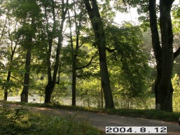 Vilkeno_a_silu_vilken_060-cfc82a103774a66a666d2417e4e83c2f.JPG