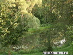 Vilkeno_a_silu_vilken_064-b685758692a83ee00d936706f7eadcad.JPG