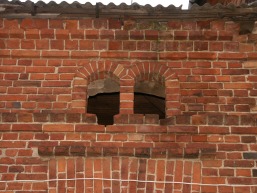 Vinksnupiu_a_vilk_vink_080-942f40b0a770e54ef6f11ca130285f2e.JPG