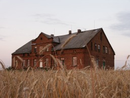 Vinksnupiu_a_vilk_vink_089-8aff76a11753d544fb97cc12e42be350.JPG