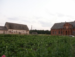 Vinksnupiu_a_vilk_vink_095-d6ceb8e0abba72ddab8eb329ffb2e131.JPG