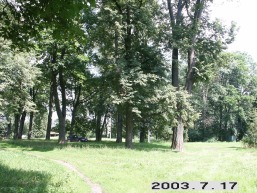 Virsuliskiu_a_sirv_virsul_040-a4b4620b681005cd6cacad0b7e222628.JPG