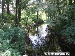 Virsuliskiu_a_sirv_virsul_041-243a02205e39103273fd7192368599ac.JPG