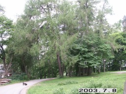 Vyzulenu_a_viln_vyzul_043-9d7d26251fc203be408f155403468249.JPG
