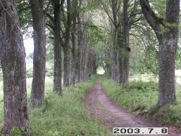 Vyzulenu_a_viln_vyzul_050-cee835b69fb358c964f3190e241ccafb.JPG