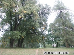 Vyzuoneliu_a_uten_vyzuonel_001-10788ef7c33ba54be49e378d0f3a2005.jpg