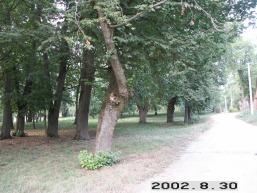 Vyzuoneliu_a_uten_vyzuonel_018-ae7a34651b216cb098280896a42a9cf7.jpg