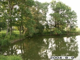 Zadeiku-I_a_kret_zade_052-cbbffd87e7a9399434ad28d2408e7aa6.JPG