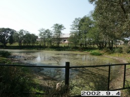 Zalvariu_a_mole_zalva_007-dd92725c21595b5084c39de8e7aebb95.jpg